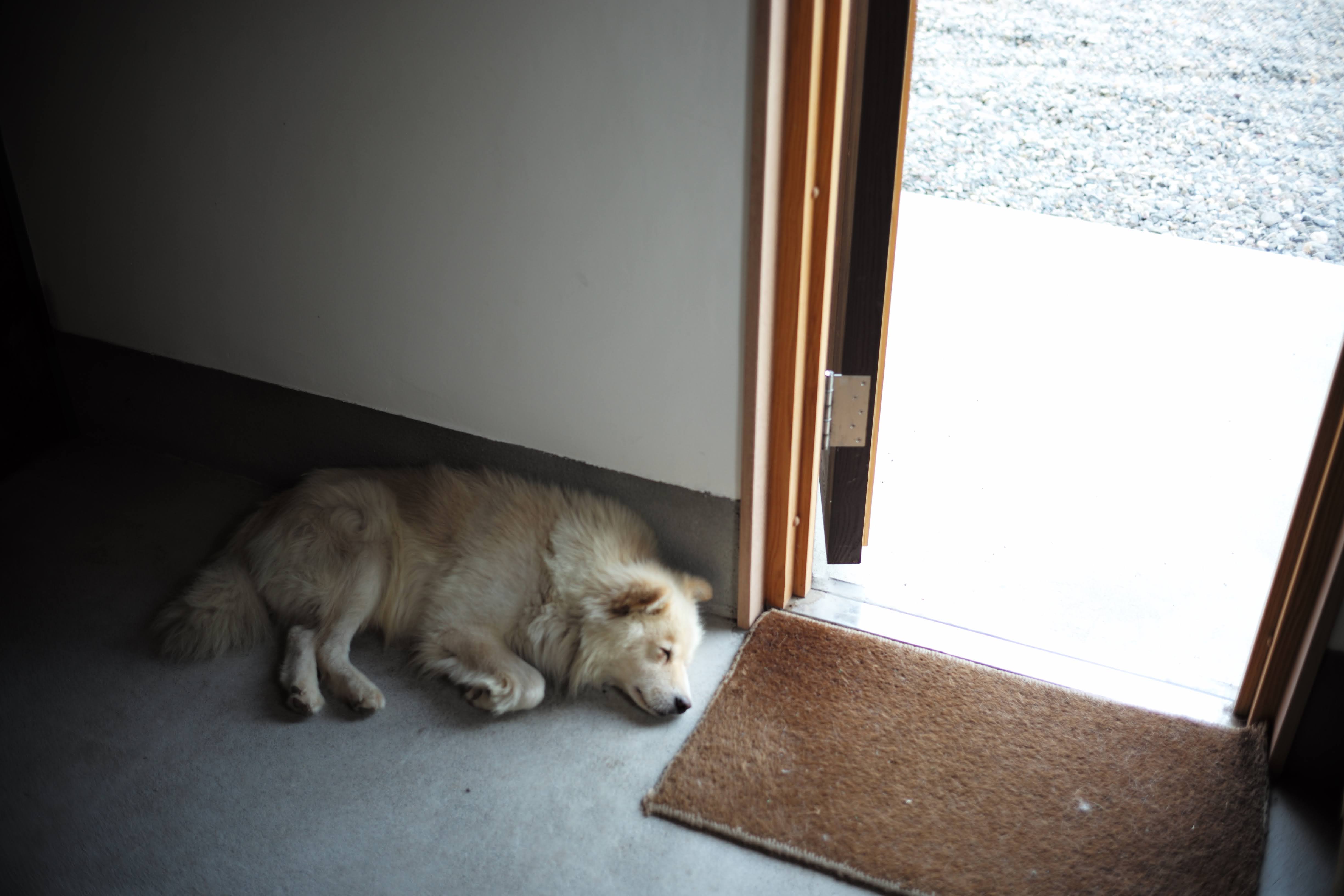 ほのぼのチーズ工房