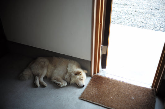 ほのぼのチーズ工房